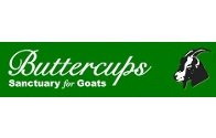 Buttercups Sanctuary for Goats