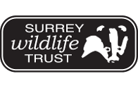 Surrey Wildlife Trust