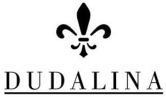 camisas dudalina em promoção