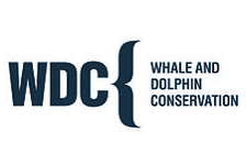 WDC, Whale & Dolphin Conservation
