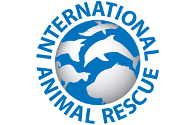 International Animal Rescue