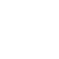 RaceChip coupons
