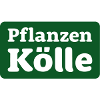 Pflanzen K&ouml;lle gutscheine